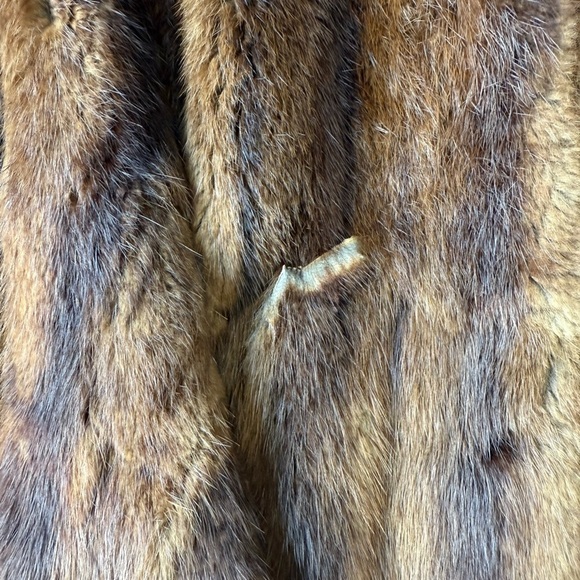 Lazarus Cape Brown Muskrat Fur Cape Vintage 1940s Lazarus Columbus Size Large - Picture 6 of 11